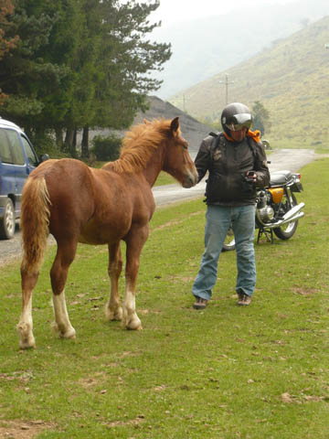 pyrénées_2009