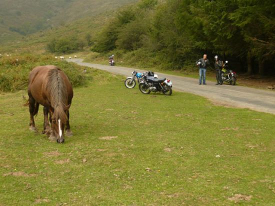 pyrénées_2009