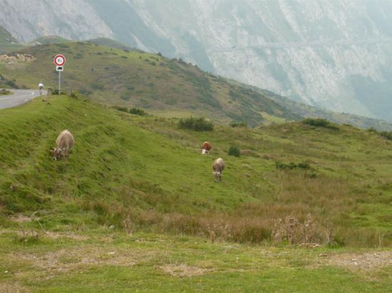 pyrénées_2009