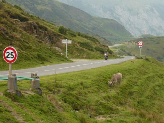 pyrénées_2009