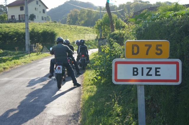 Bize
